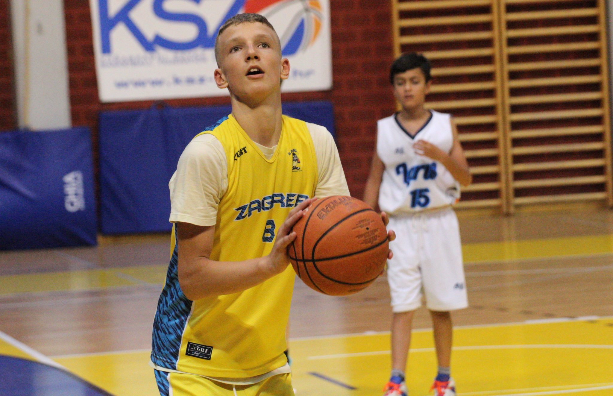 2011 Nikša